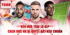 Kèo Nửa Trái Là Gì? Cách Đọc Và Bí Quyết Bắt Kèo Chuẩn