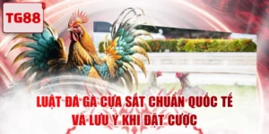 Luật Đá Gà Cựa Sắt Chuẩn Quốc Tế Và Lưu Ý Khi Đặt Cược