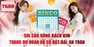 Soi Cầu Rồng Bạch Kim - Trang Dự Đoán Xổ Số Bất Bại, An Toàn