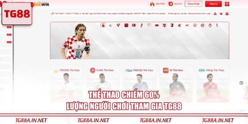Thể Thao chiếm 60% lượng người chơi tham gia TG88 